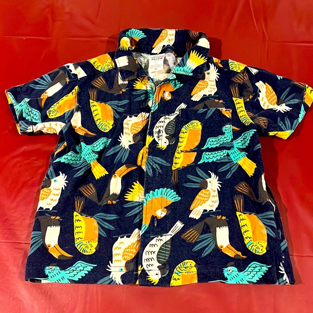 Boys 3T Bird Button up